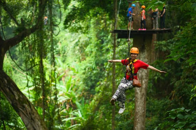 Canopy Tours